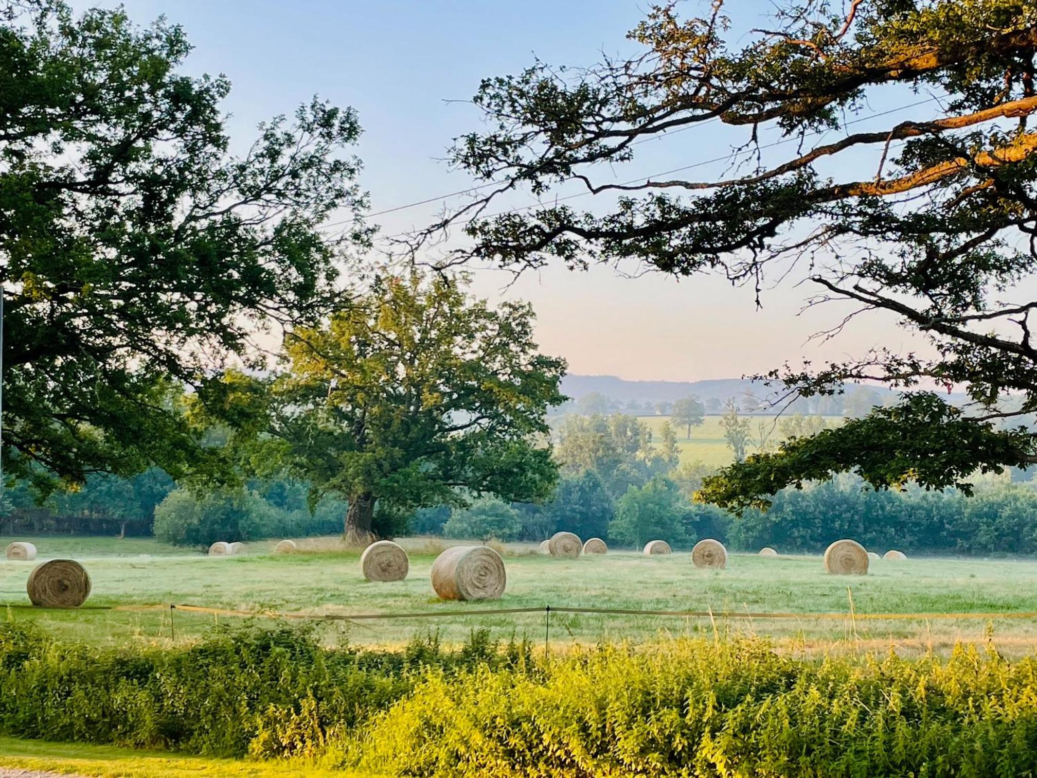 Domaine Le Rianon view 2
