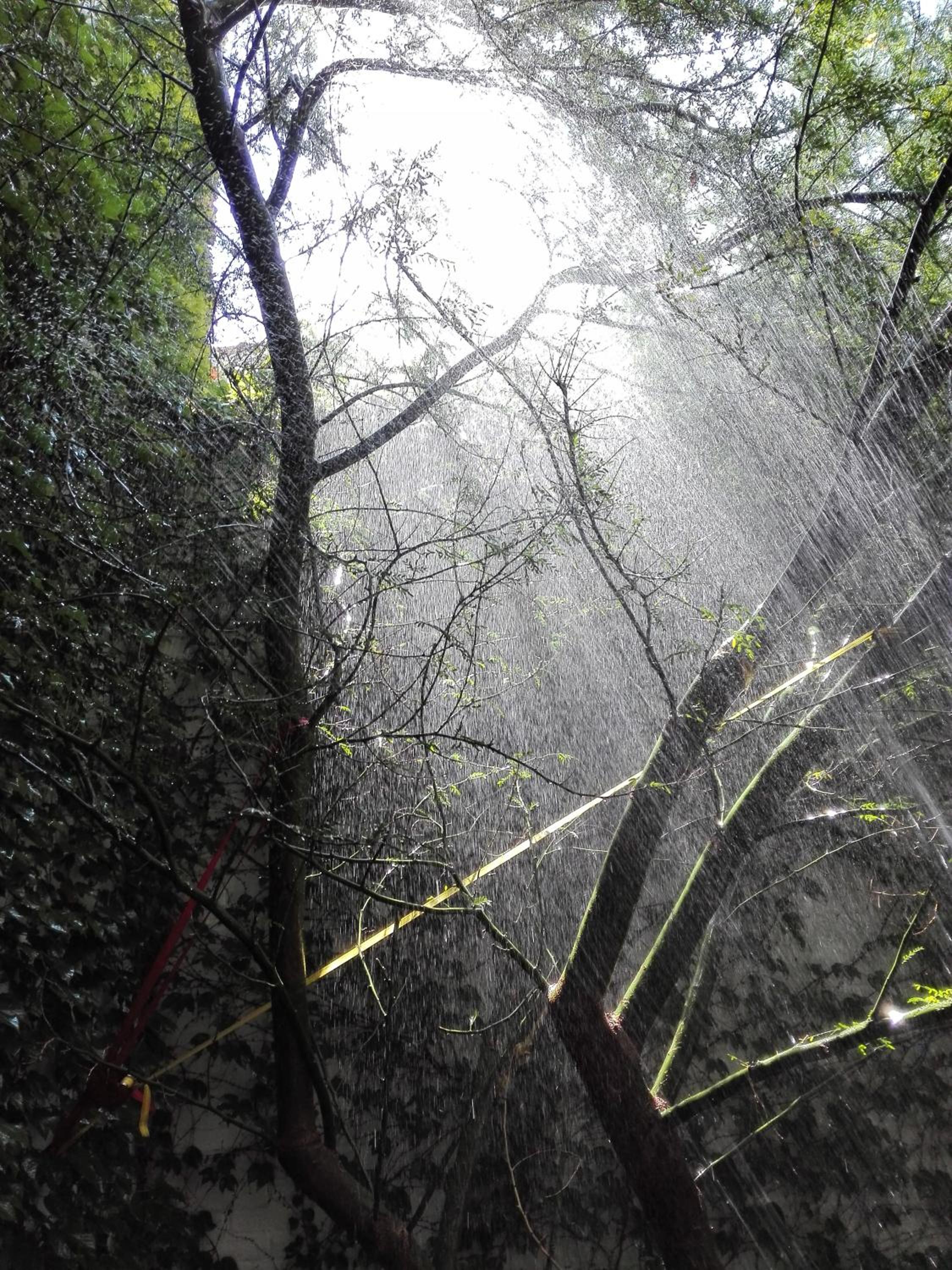 Escala83 Apartamentos