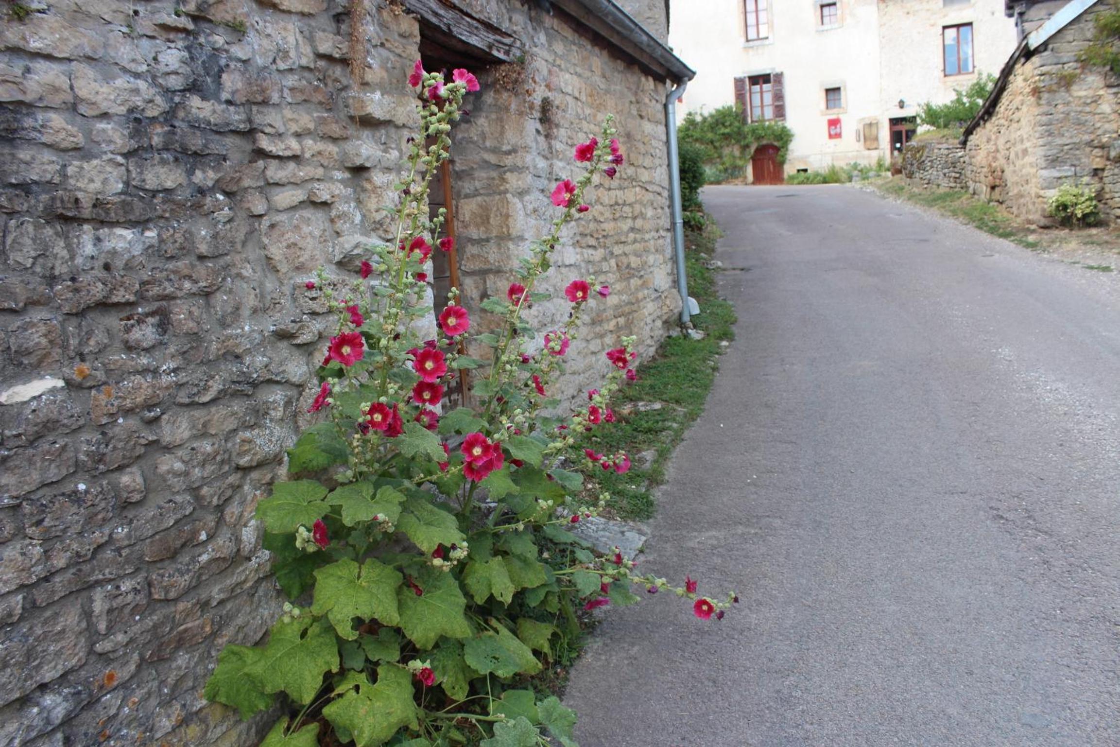 Châteauneuf Suites