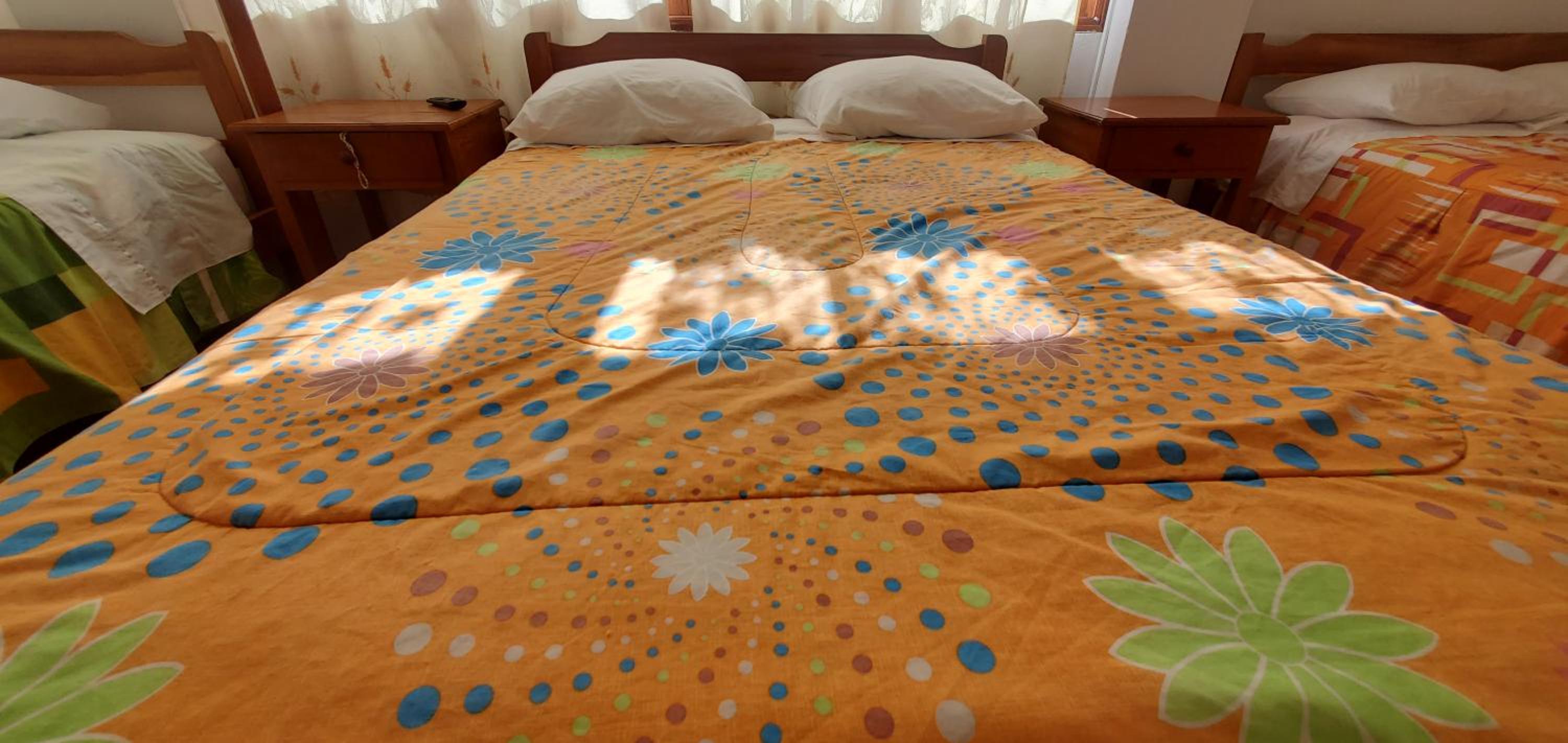 Hospedaje Olguita