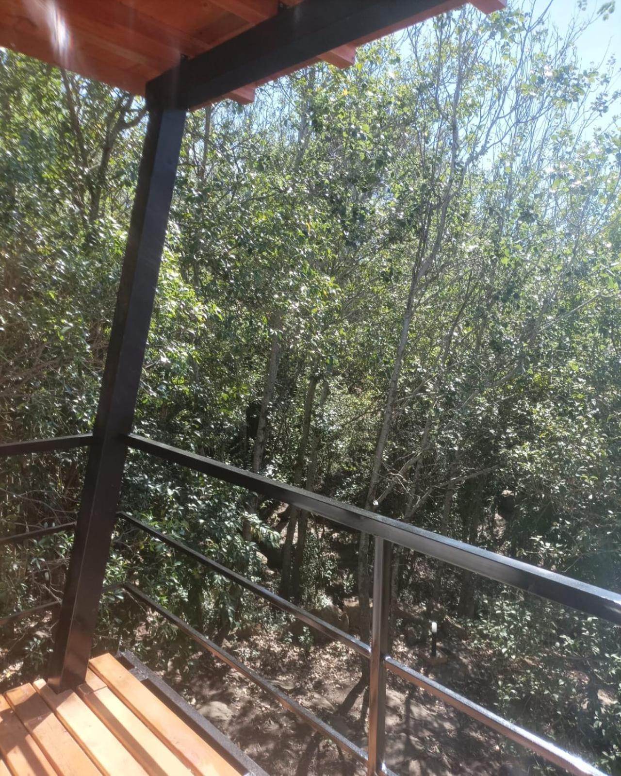 Torito's House 2