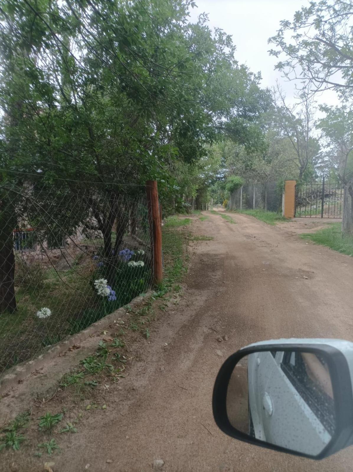 Torito's House 2