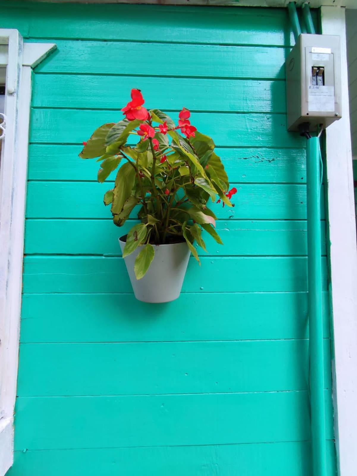 Casa Rio Verde