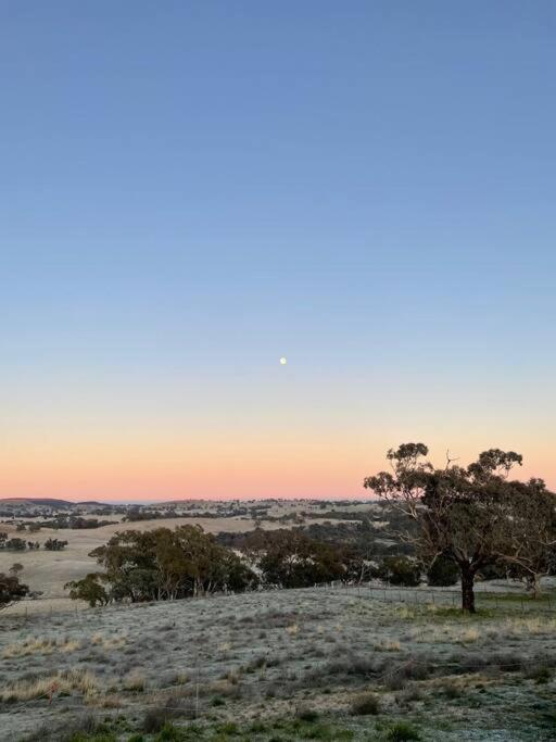 Spectacular Kangaroobie Cabin