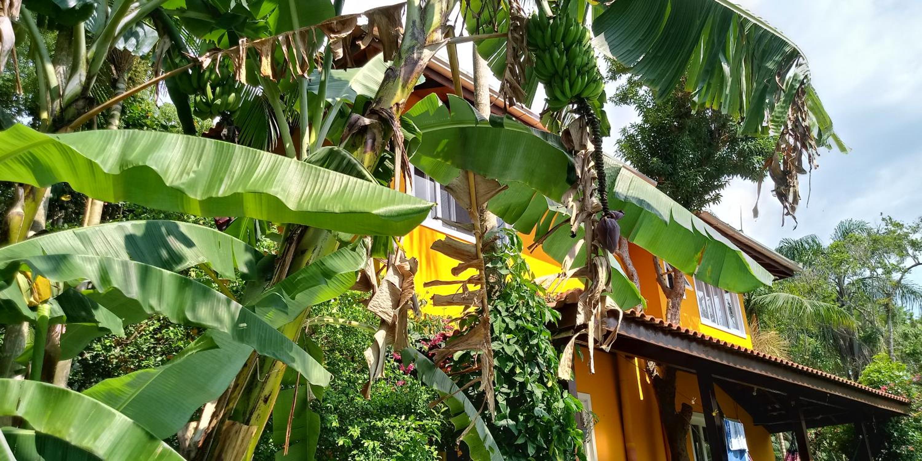 Casa amarela