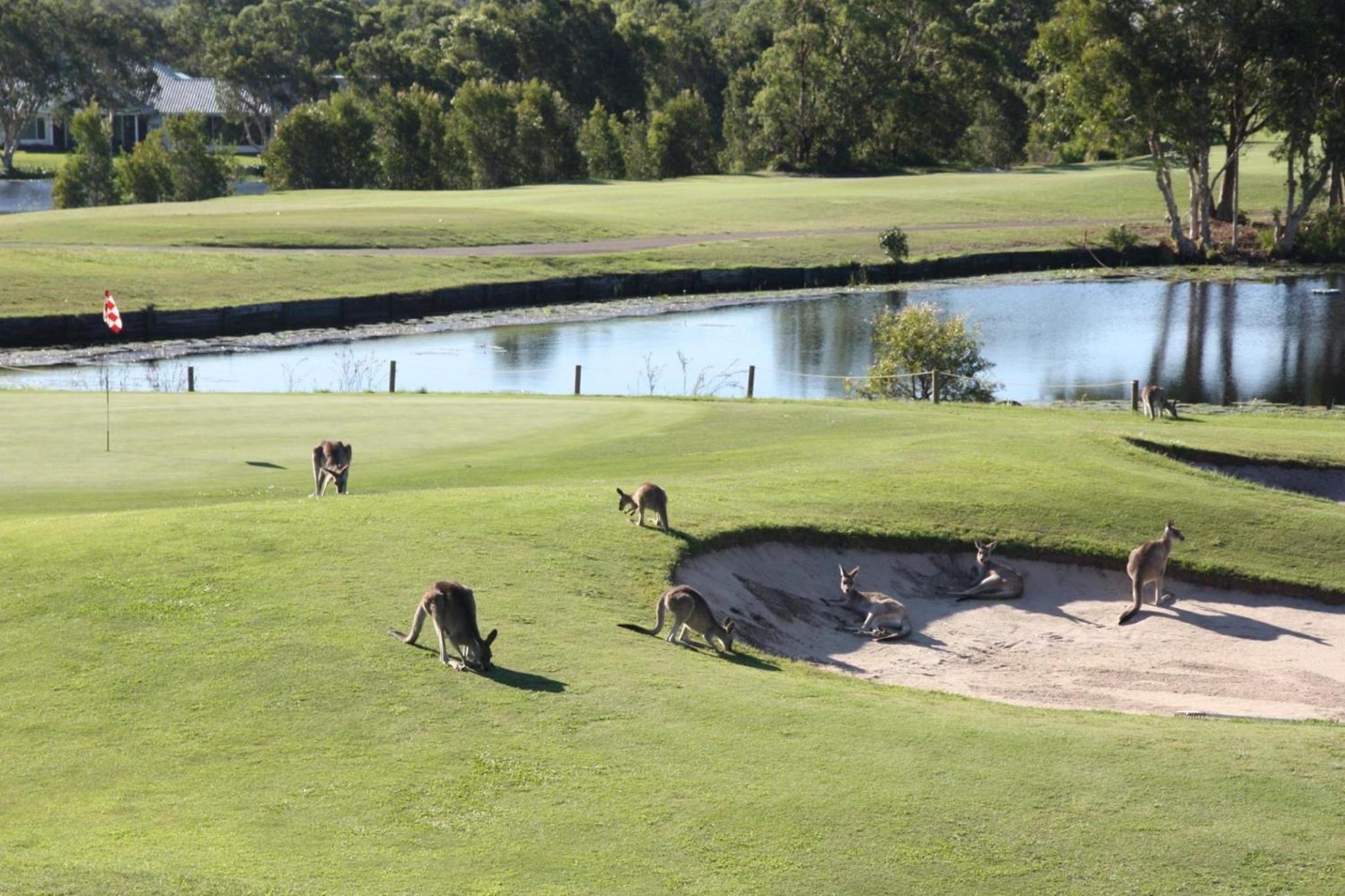 The Grande Port Stephens Luxurious golf and beach getaway on Horizons Golf Resort