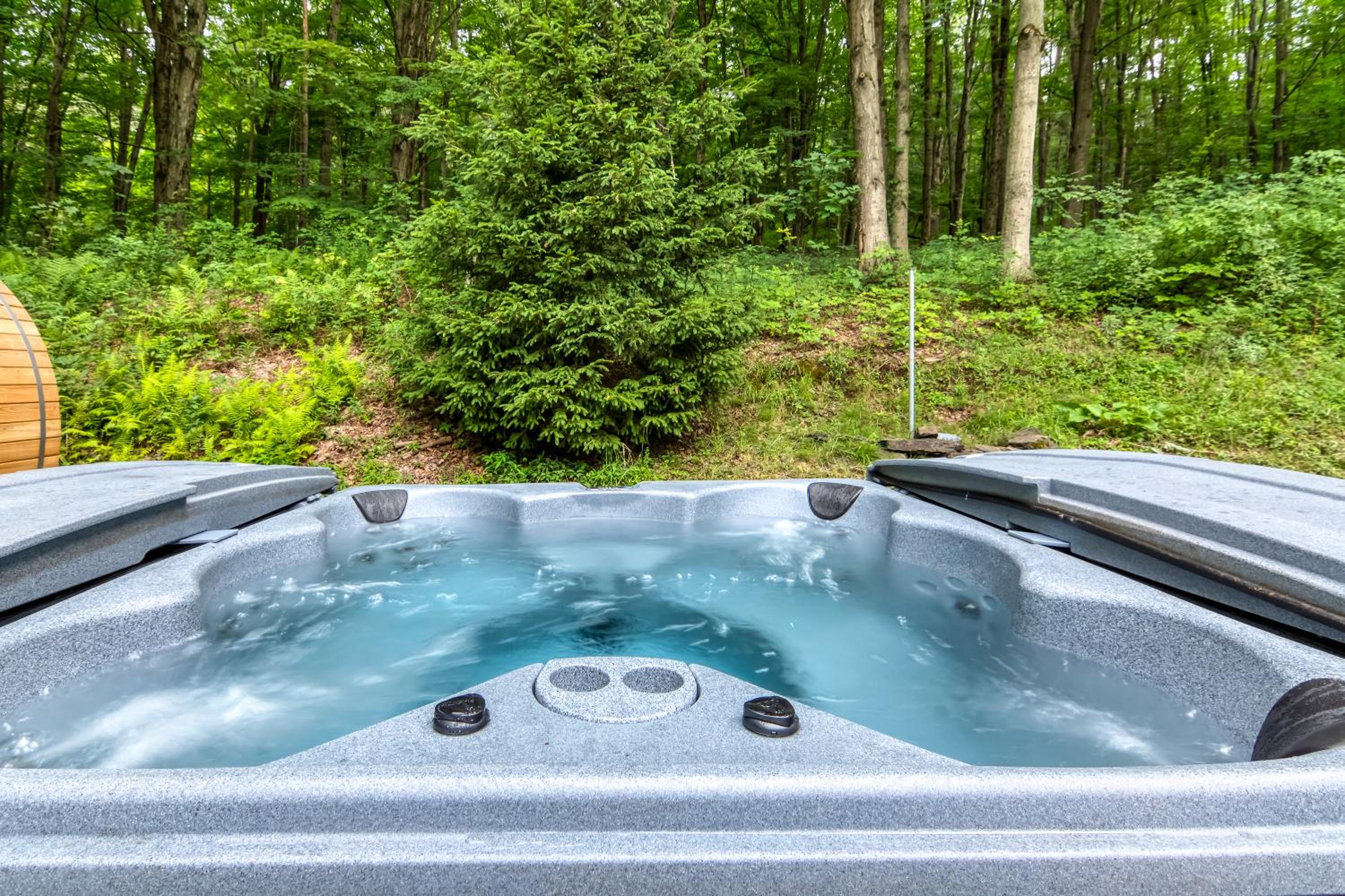 Beautiful chalet on 5 acres - 2 min to Village! Hot-Tub, Sauna, Fire Pit! view 2