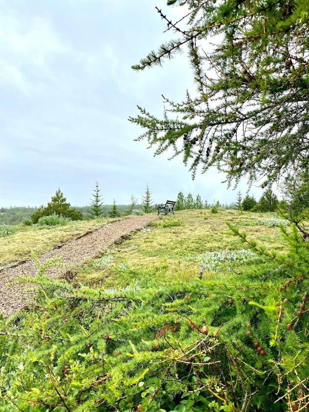 Bjarmaland Cottages - Laugarás