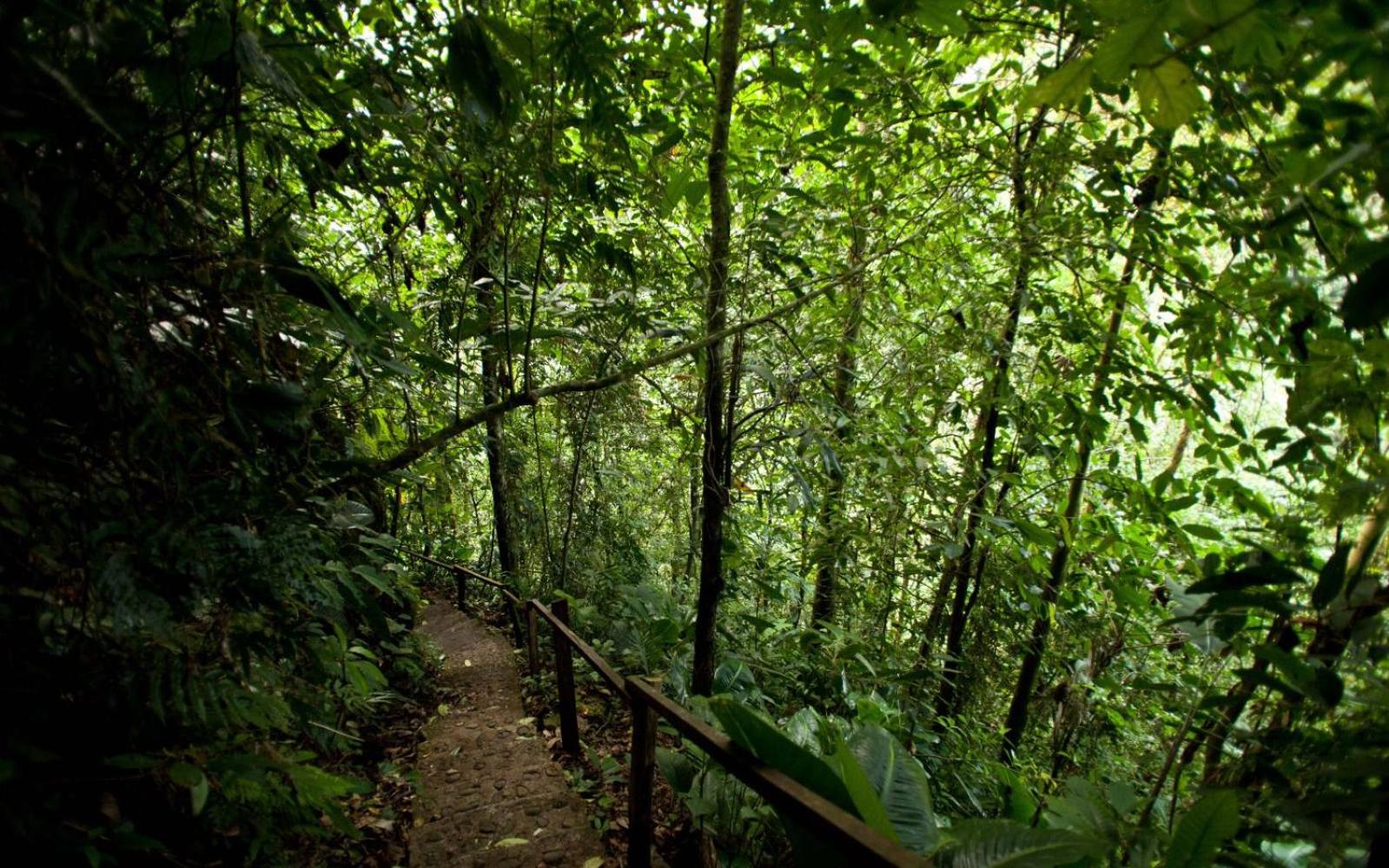 Villas y Cataratas Maquengue Falls