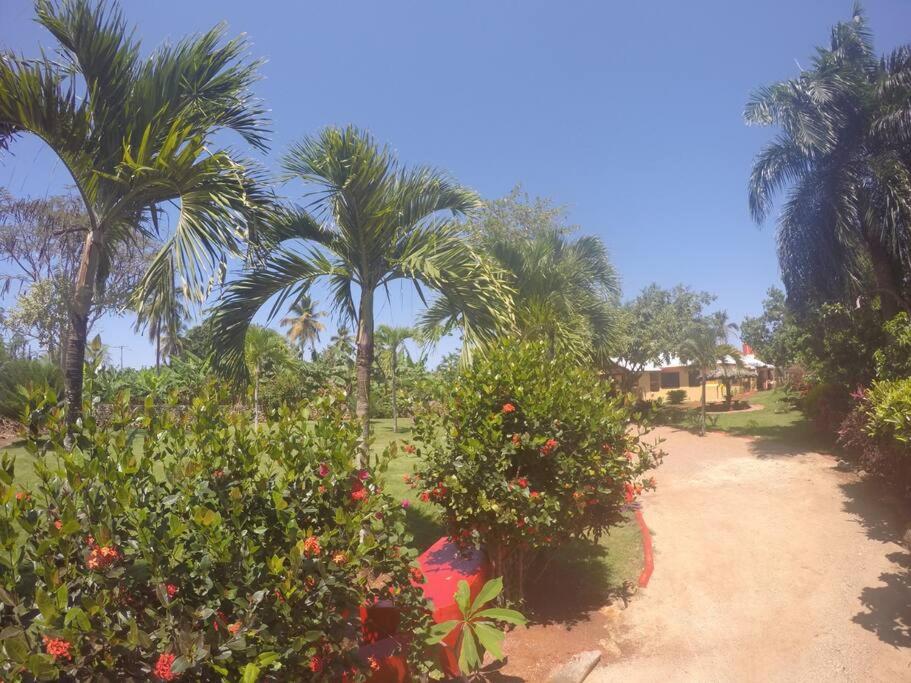Coco Banana Resort Appartment