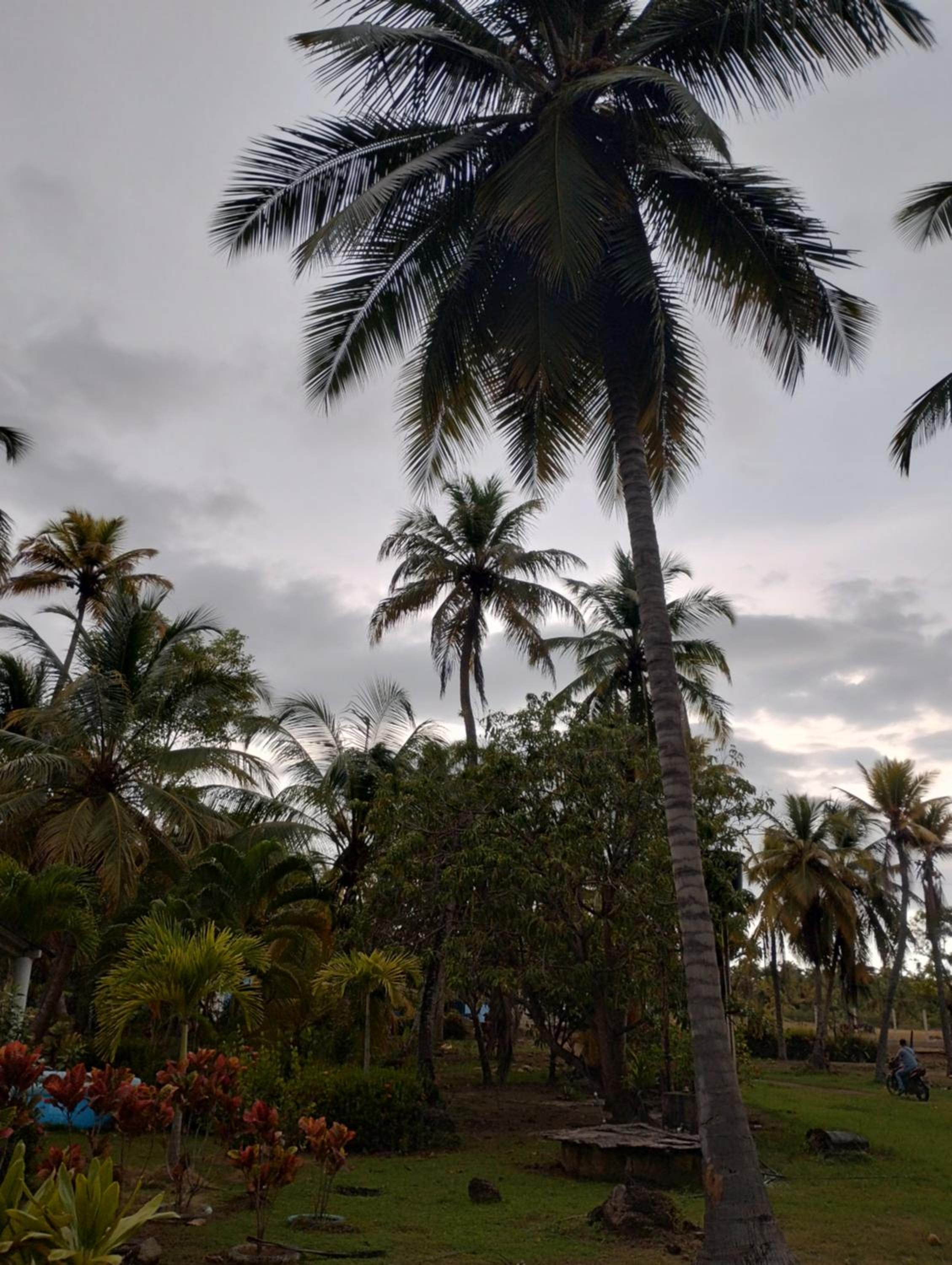Hostal torres del caribe