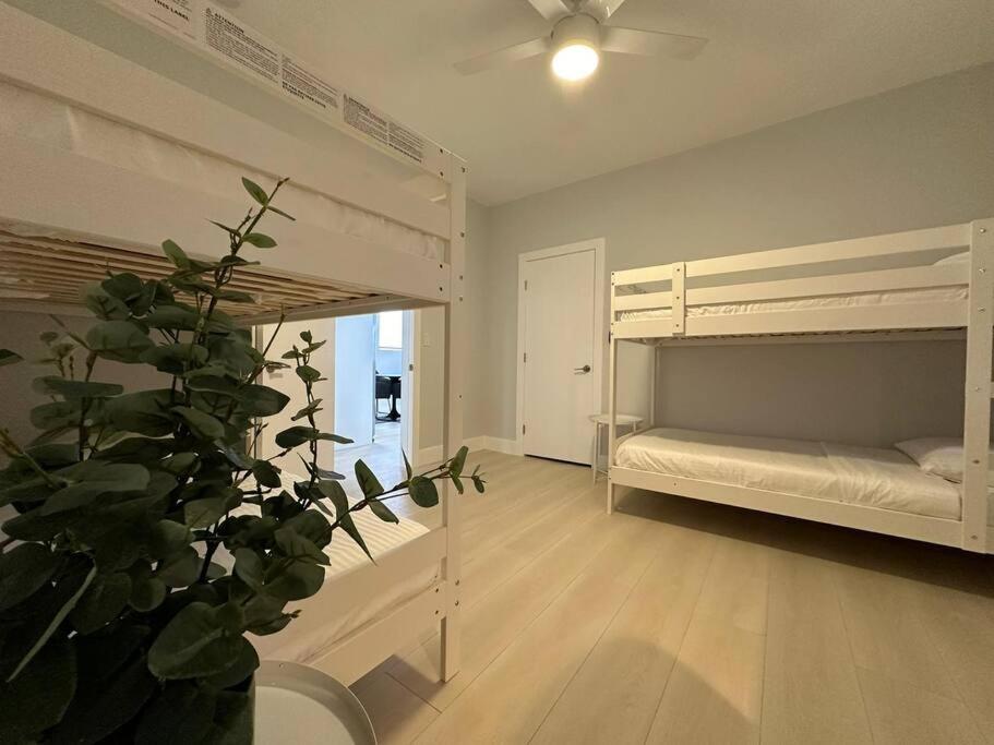 Cozy 4Bed Home in Calle 8