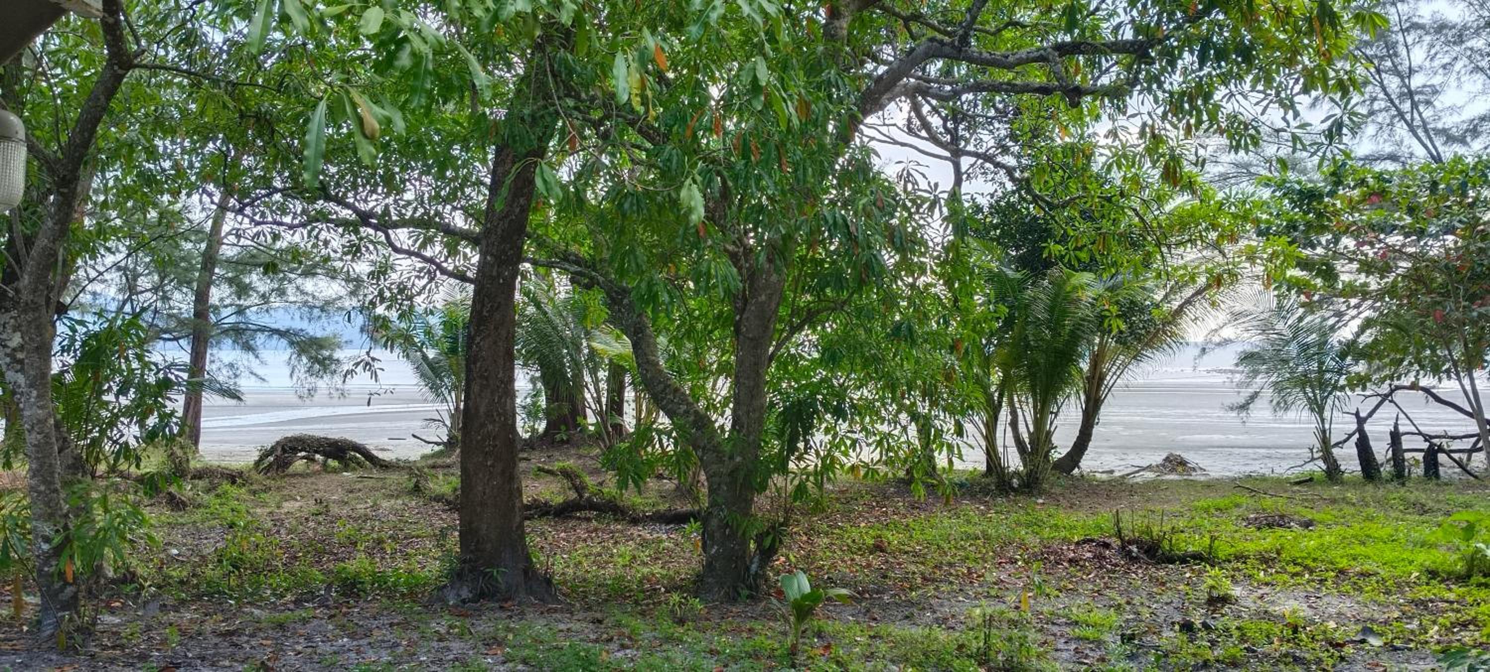 Baan Suan Kayoo 1 Long beach Aow Yai view 5