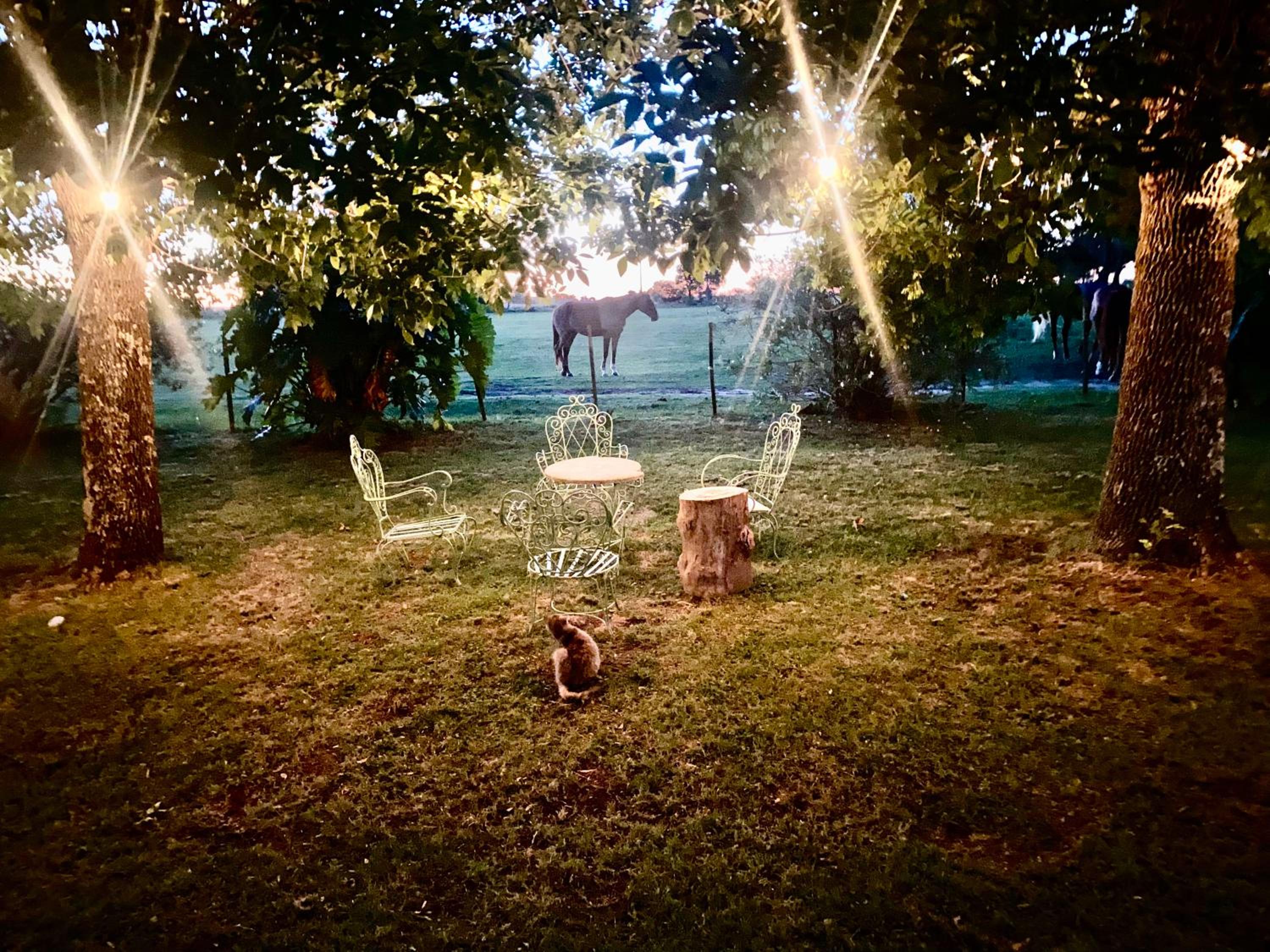 Casa de Campo SAN JACINTO grupos GRANDES 17 p Promo Diciembre del 10 al 22 mínimo 5 noches Resérvala Ya !