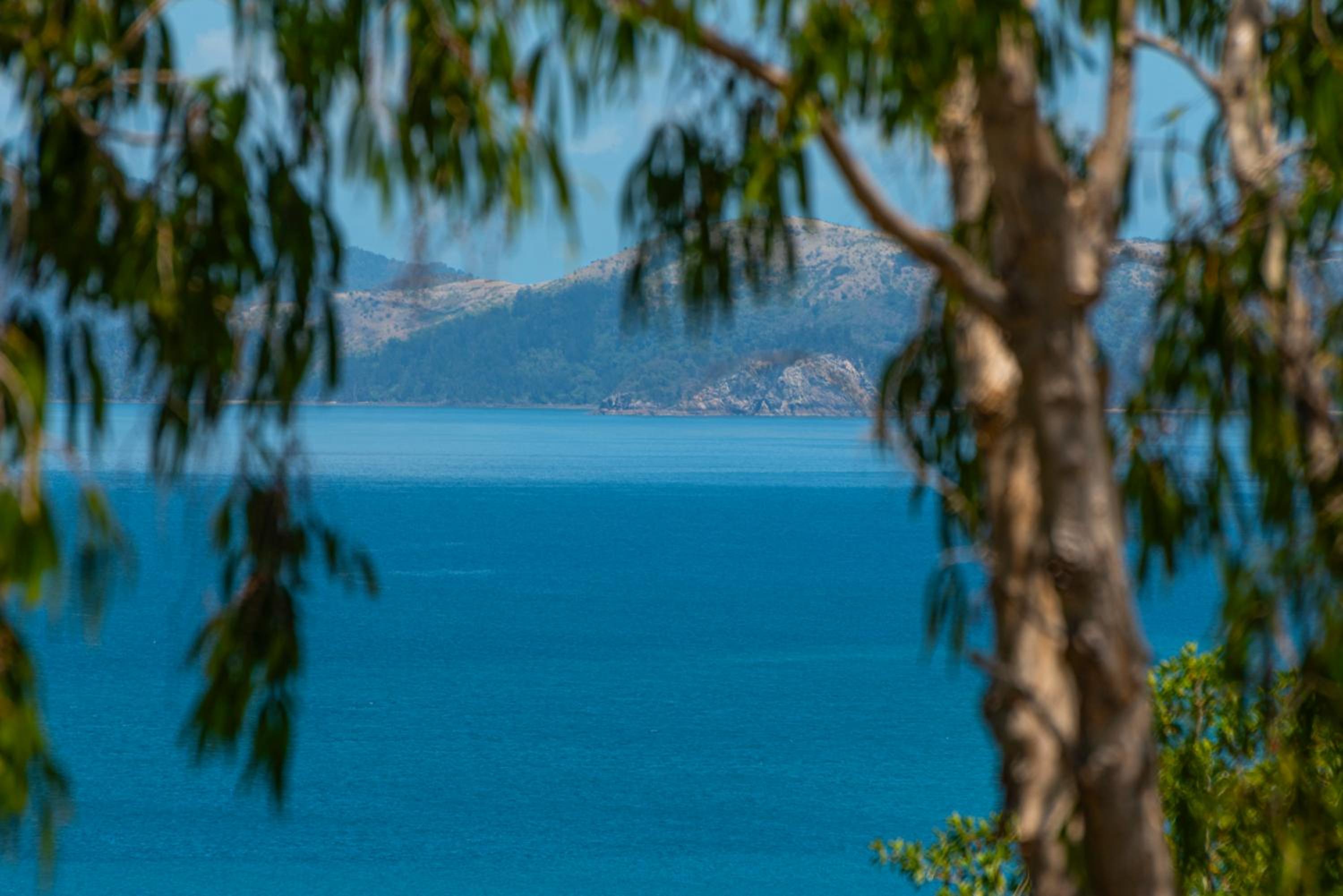Sunset Waters 1 by HamoRent on Hamilton Island