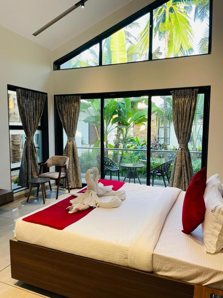 Coco Palms Resort, Diveagar view 5