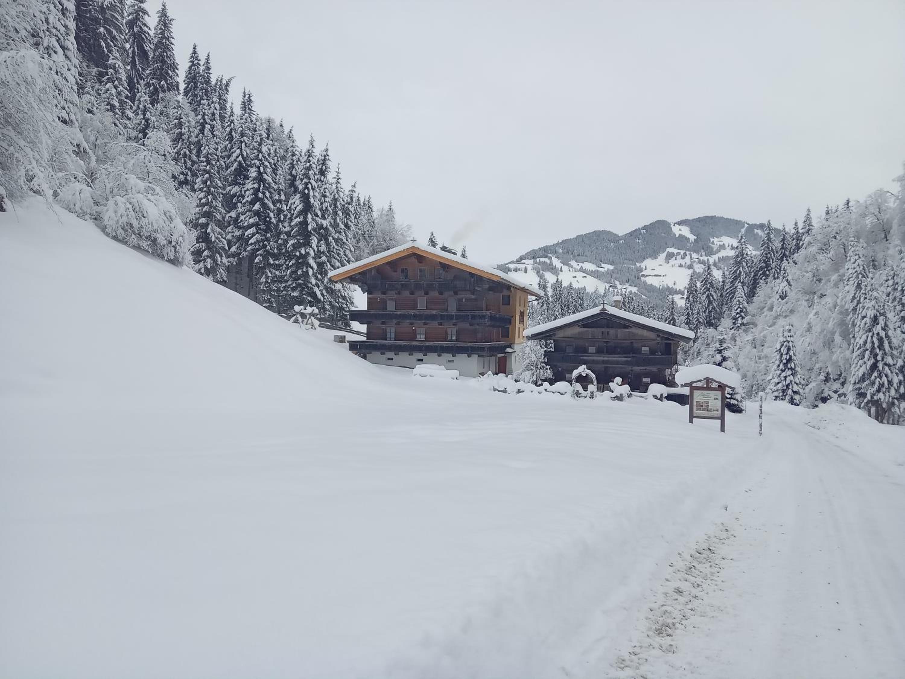 Alpboden