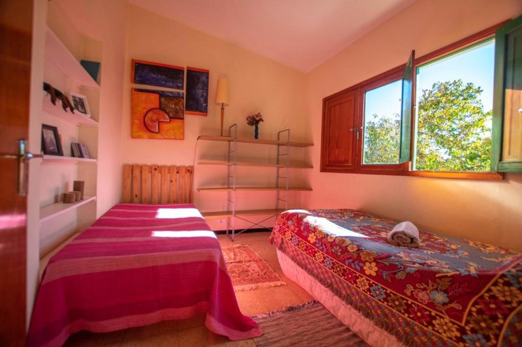 Finca pajaritos