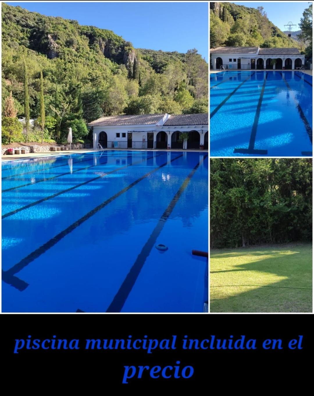 Photo 26