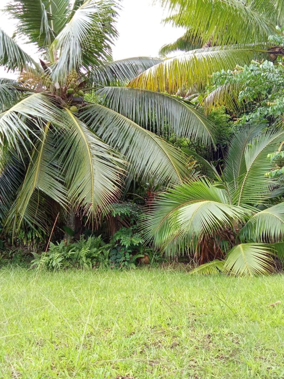 Photo 32