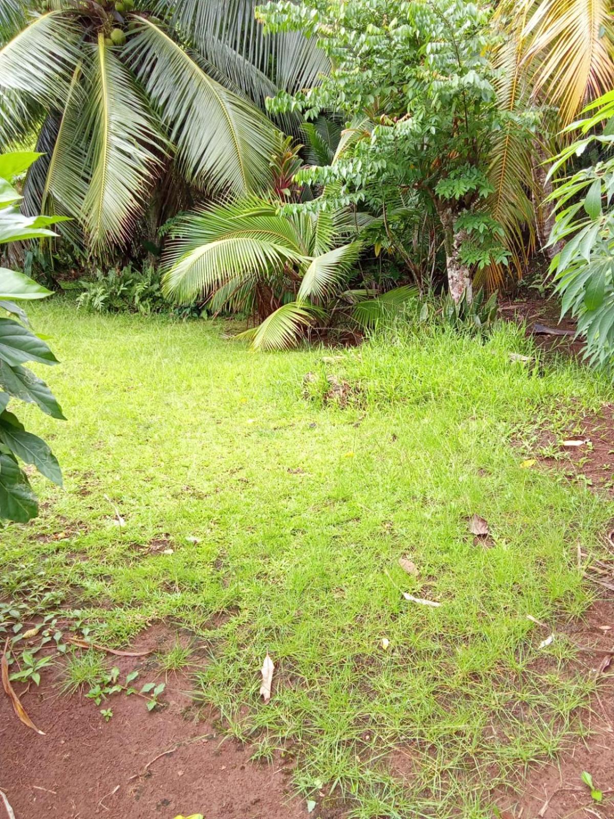 Ravehei smile relais 3 Huahine view 4