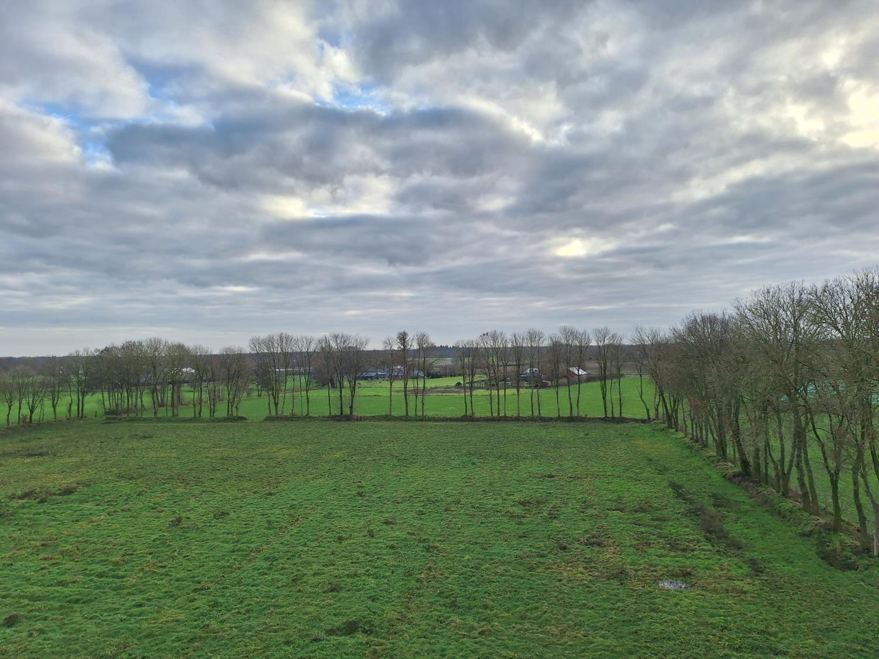 Lange Heide view 3