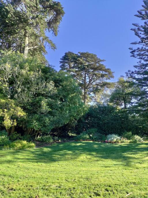Sunny SF home - cozy, spacious, convenient w/parking, A+ location!! view 4