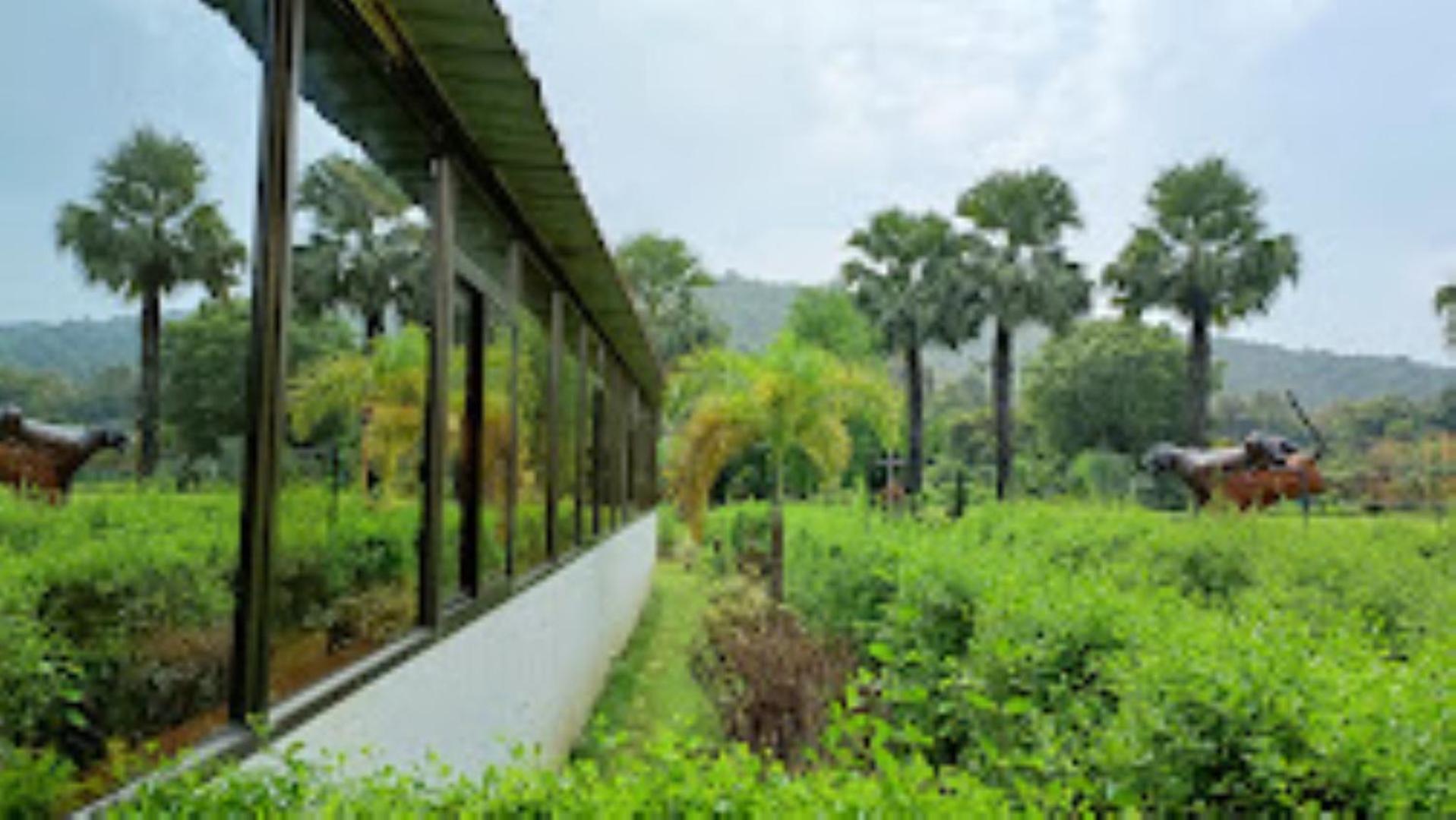Jimira Resort , Shivrajpur