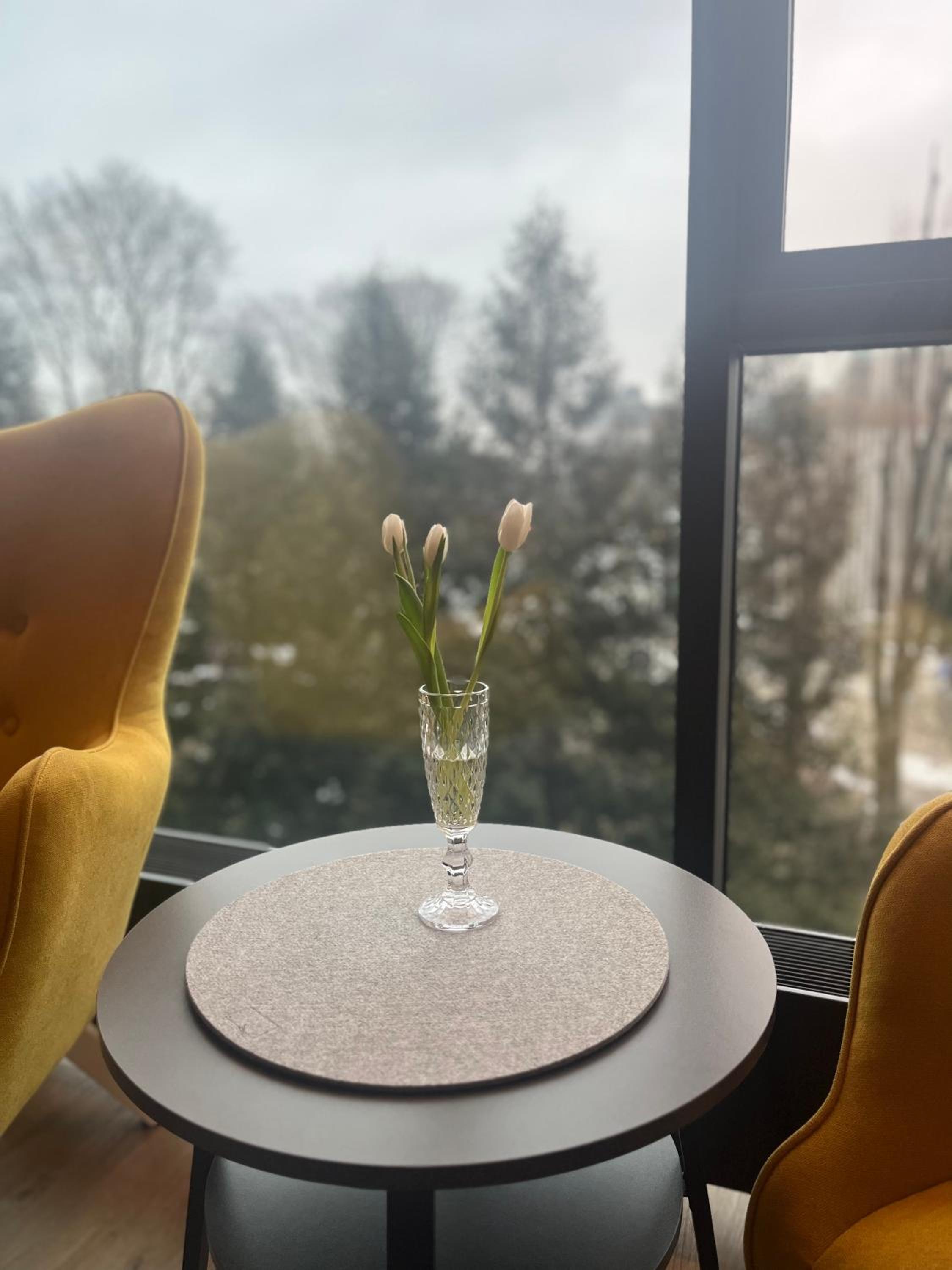 SAS & SPA Apartament