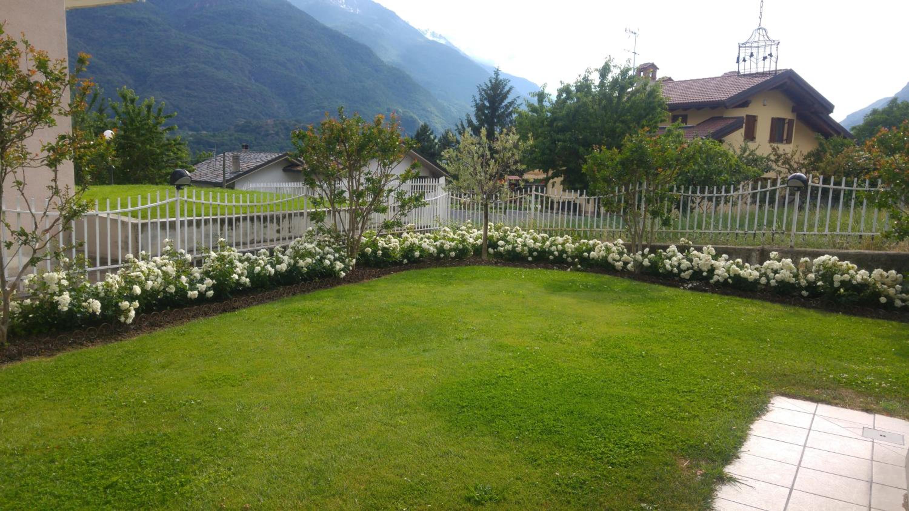 Il tiglio view 2