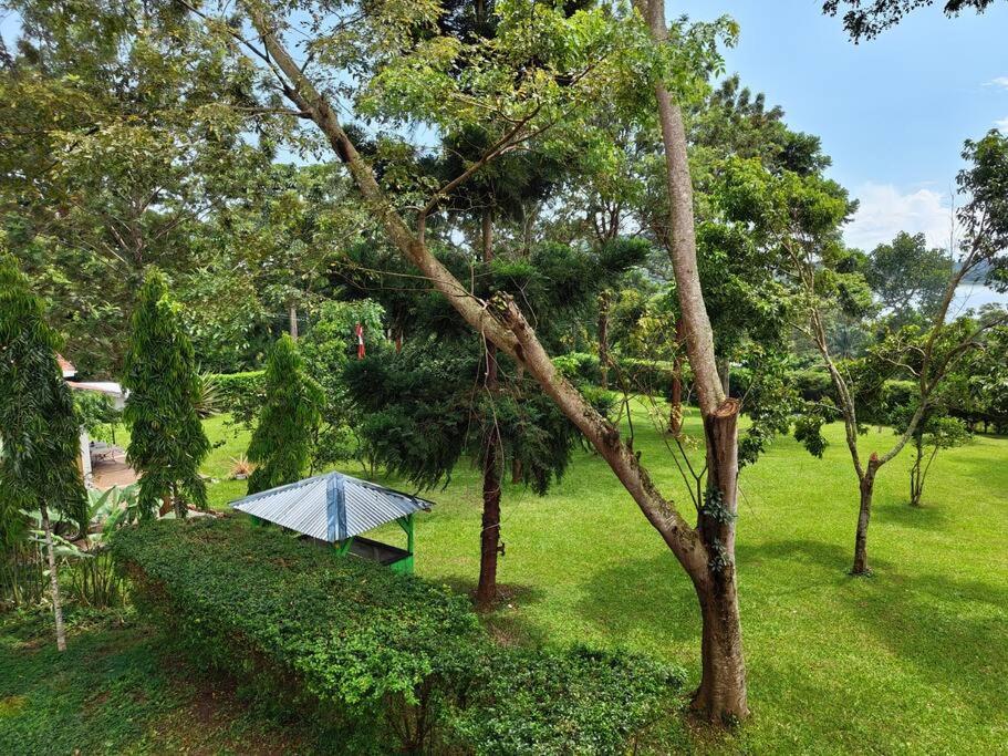 Vacation Home with Lake view view 5