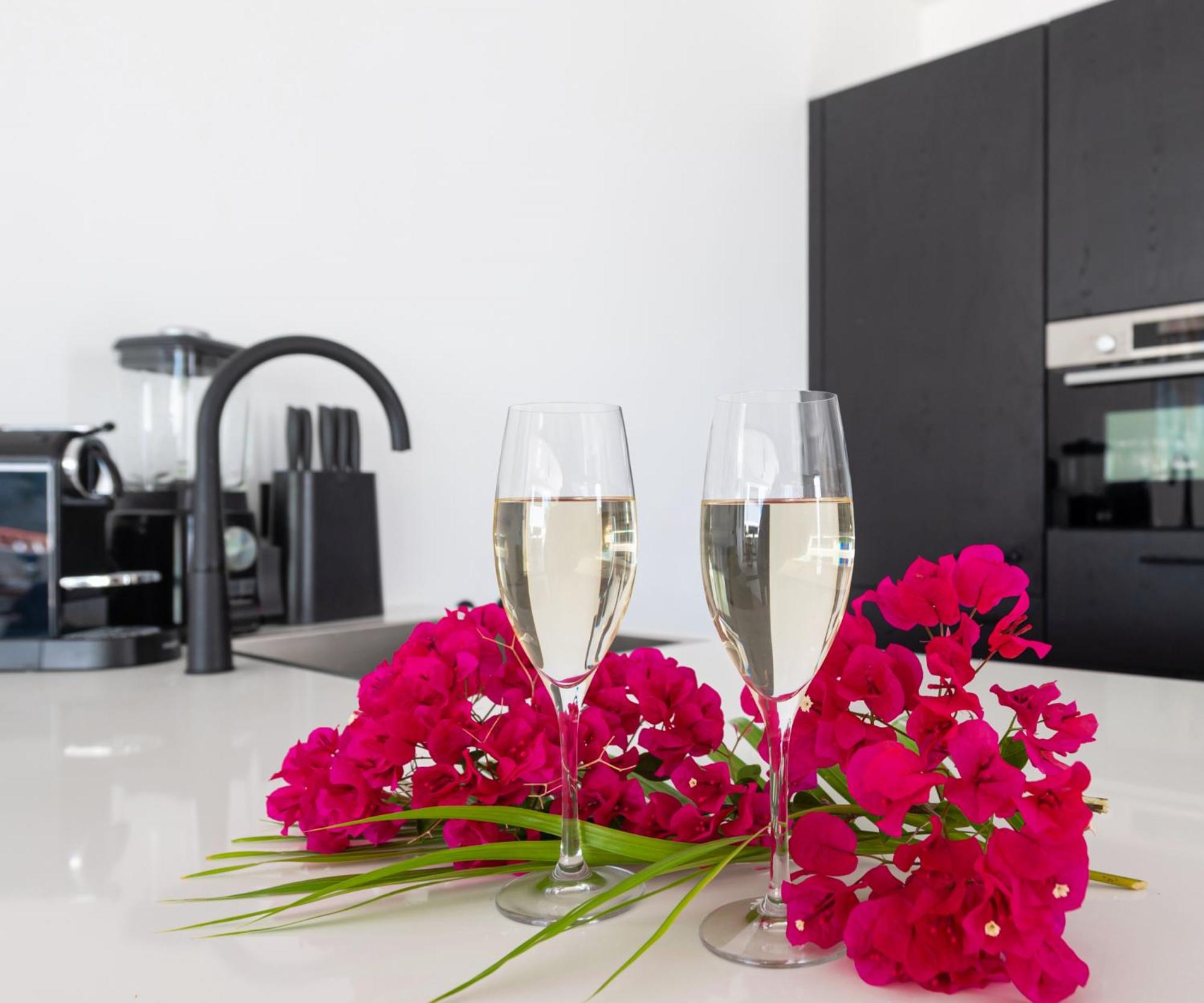 Palm Suite - Newly constructed poolside apartment just minutes from the beach