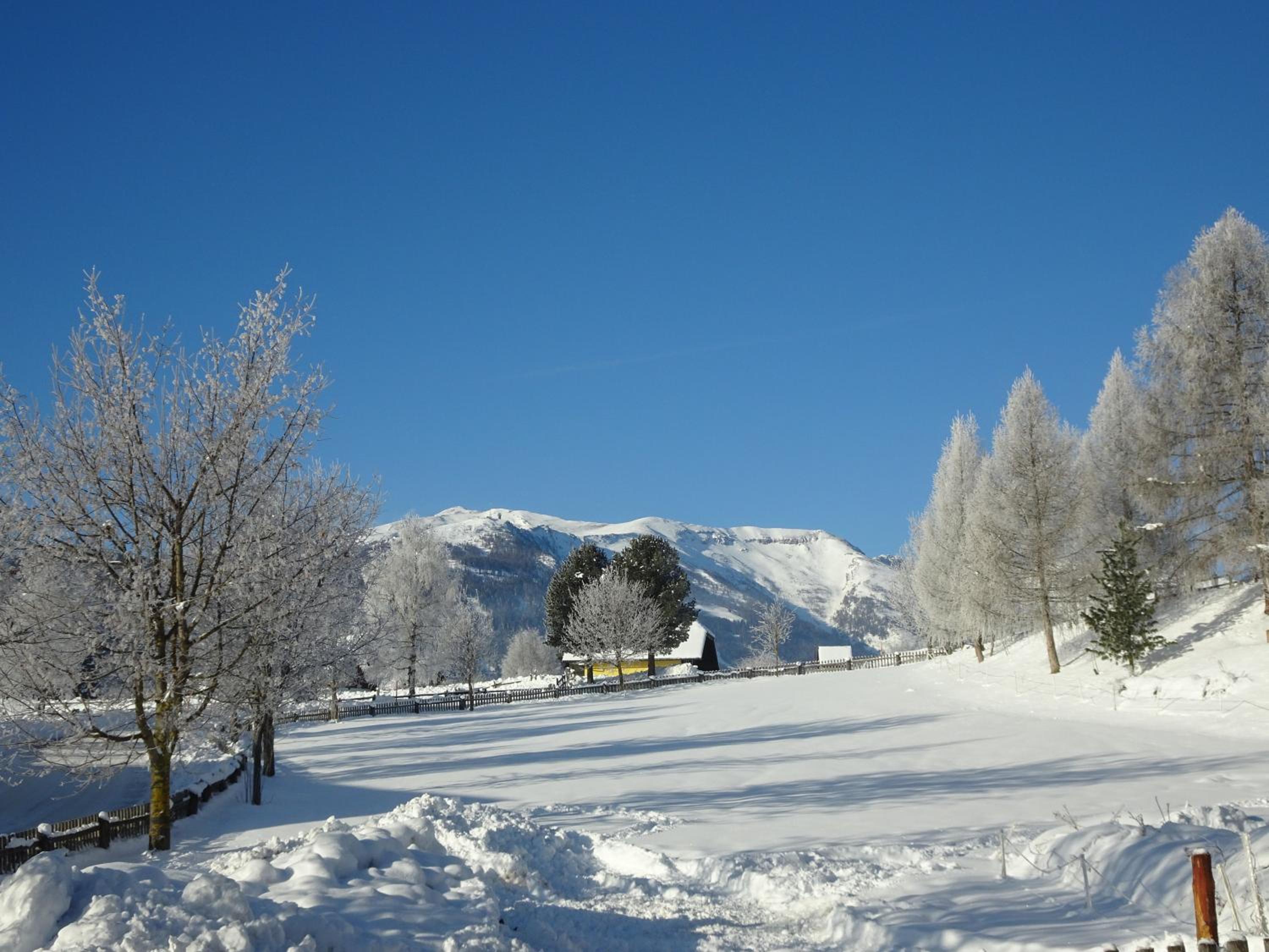 Pension Bacherhof