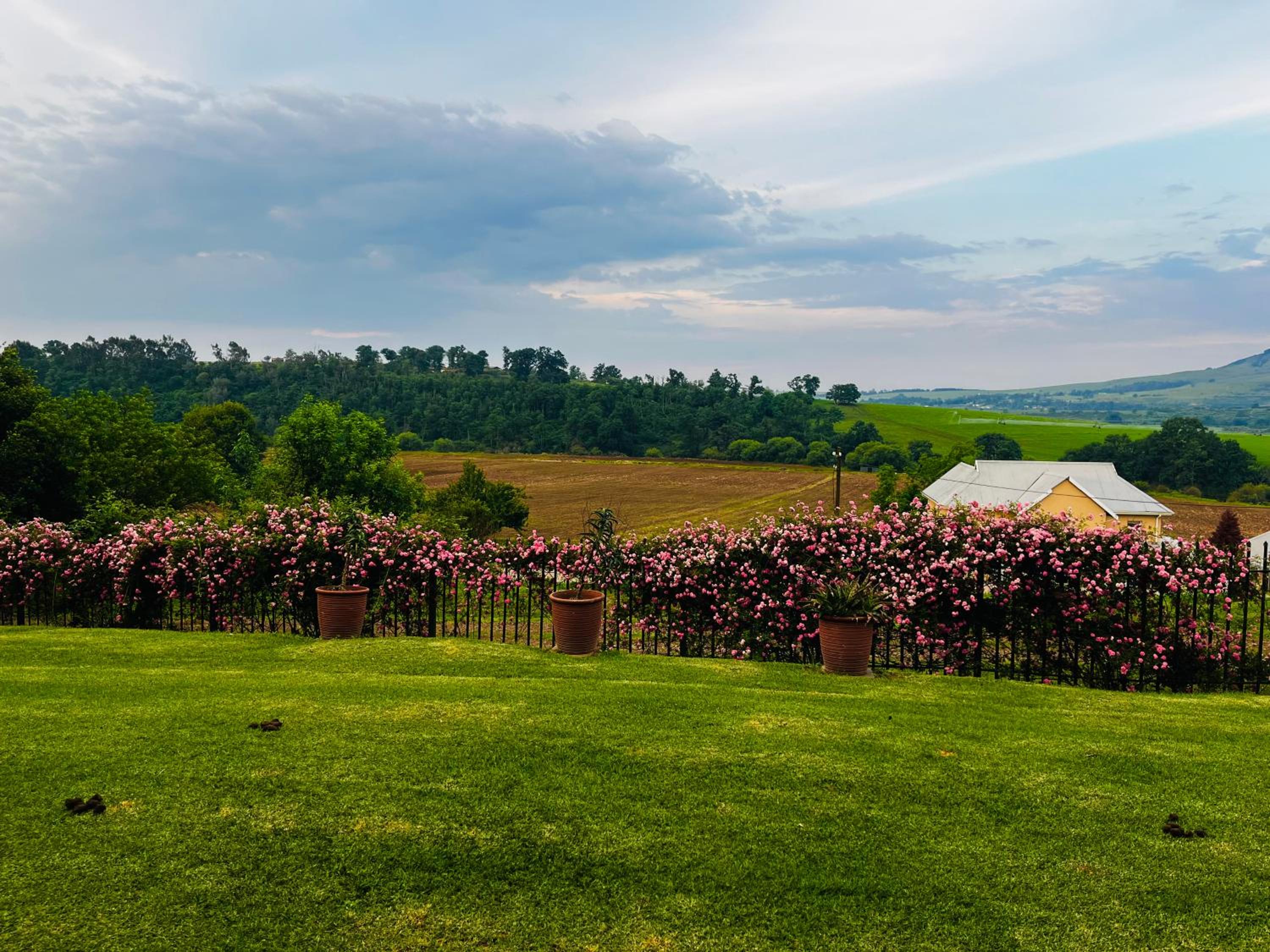 Haze Inn Cottages Wattle view 2