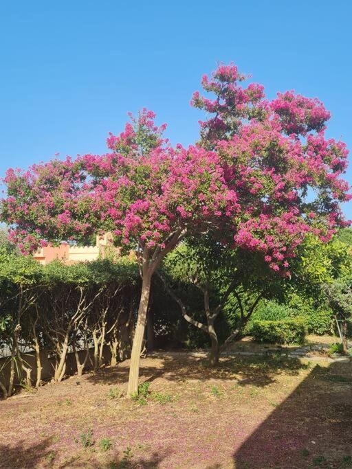 Villa indipendente a due passi dal mare