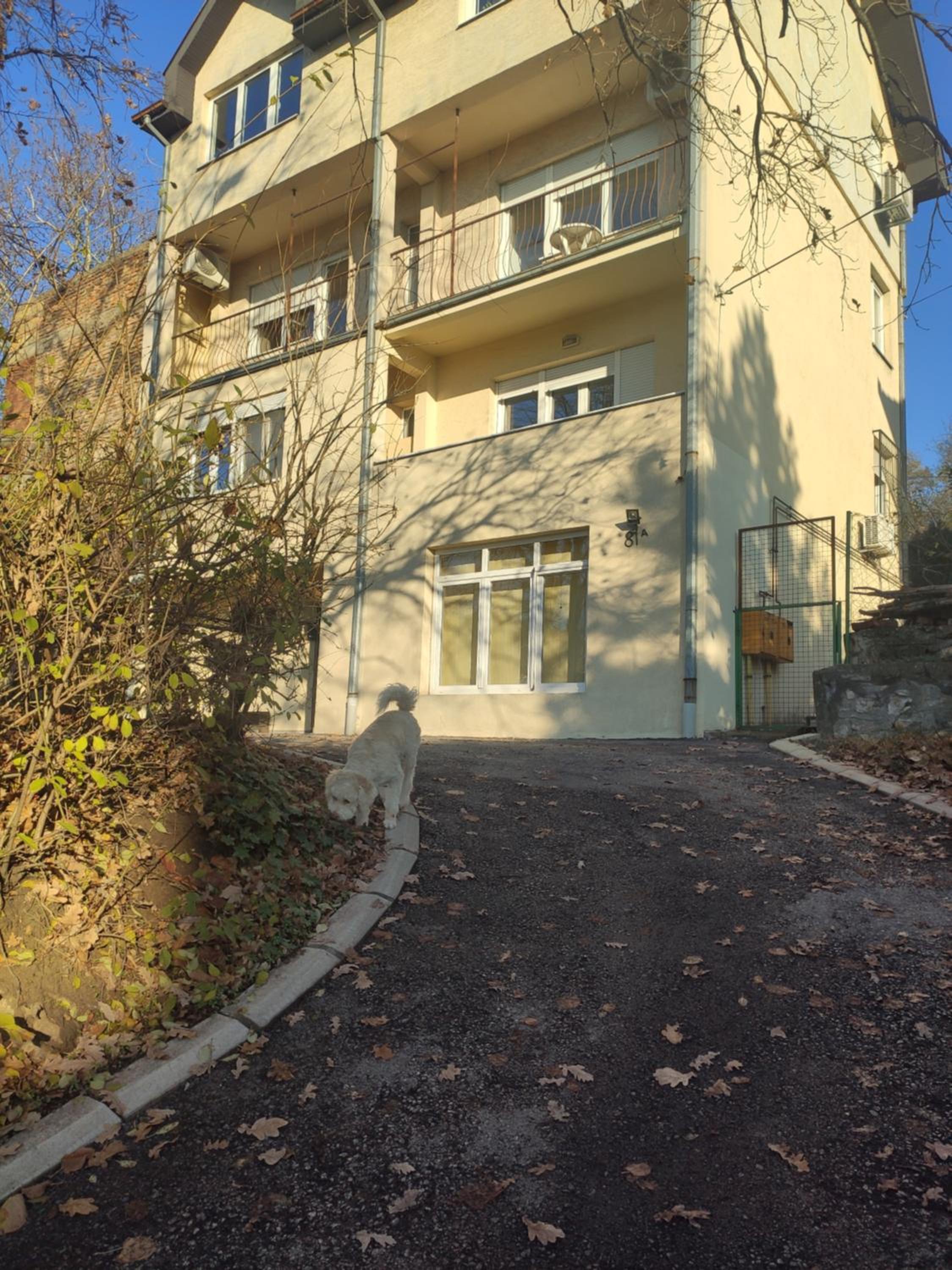 Olimp Zvezdara