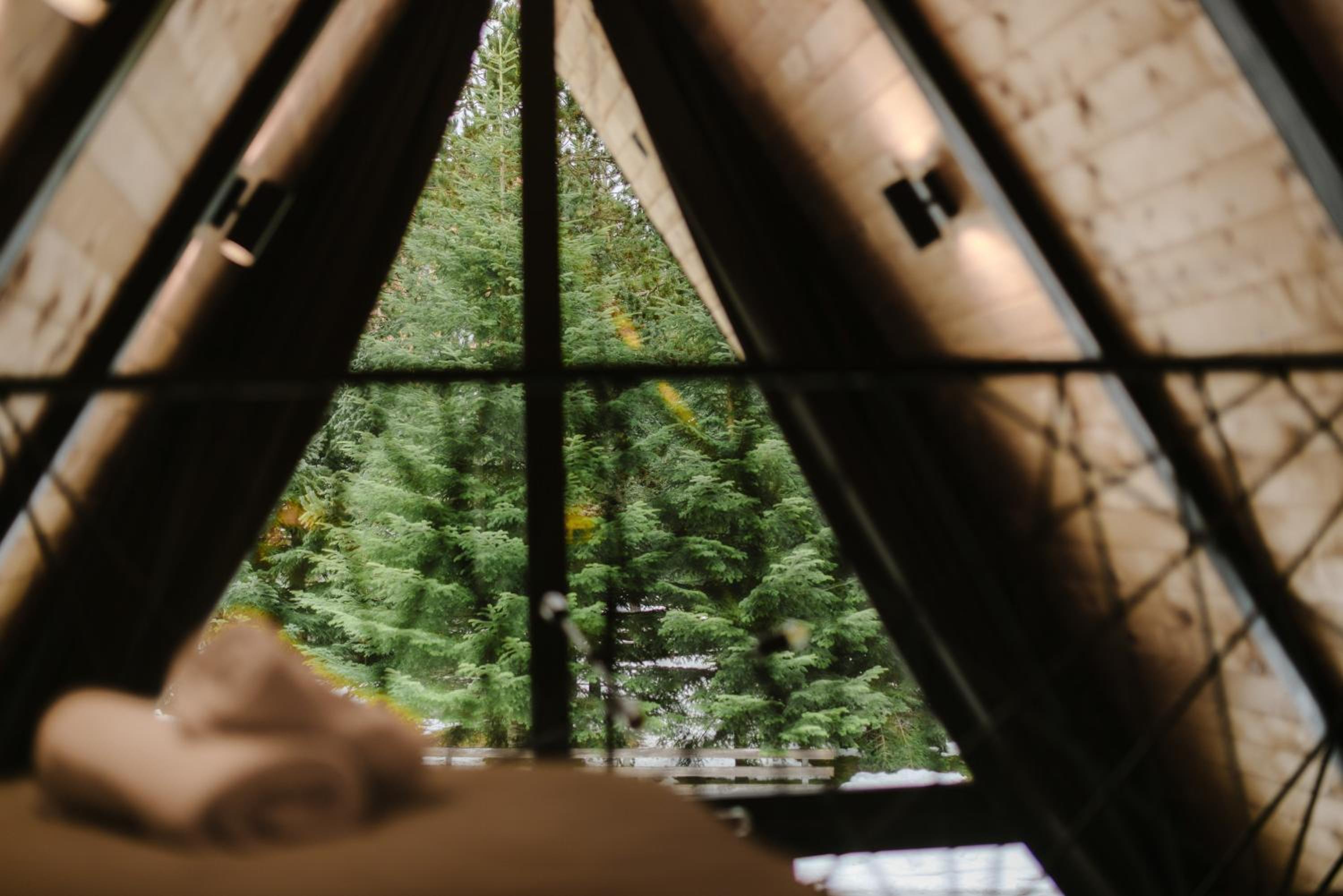 Pinery Blidinje A-Frame House