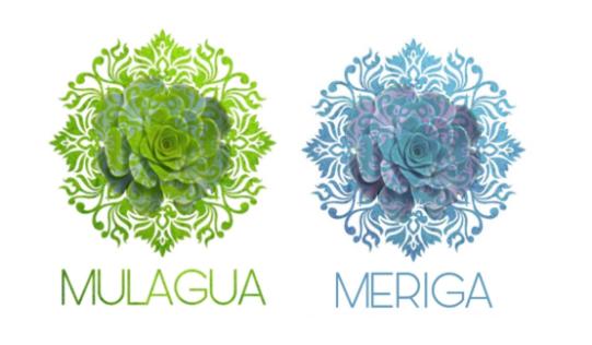 Meriga