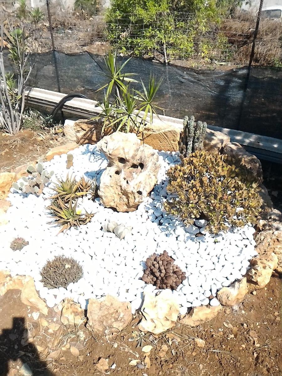 Photo 32