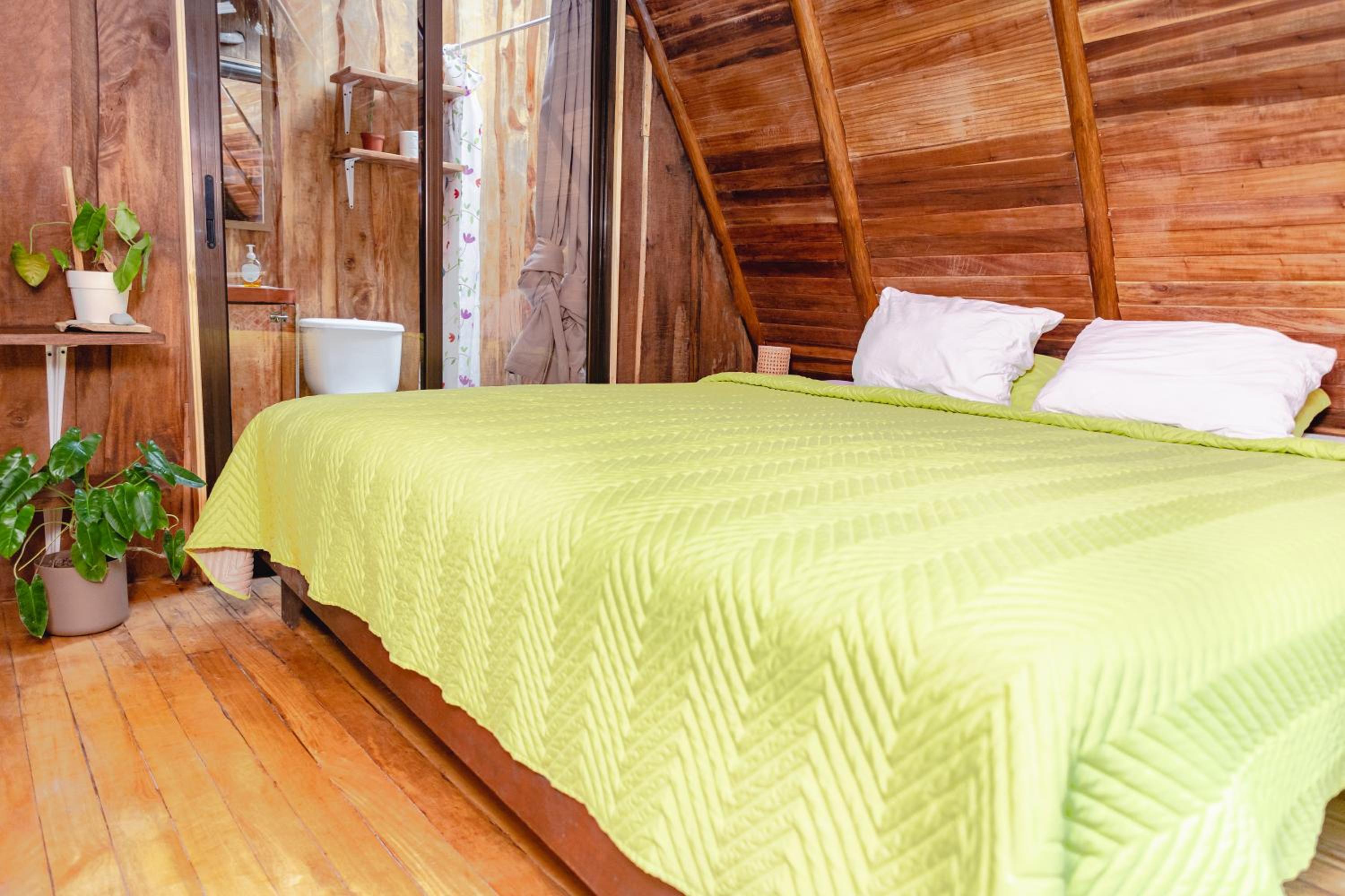 El Gato Rojas Surf Hostel