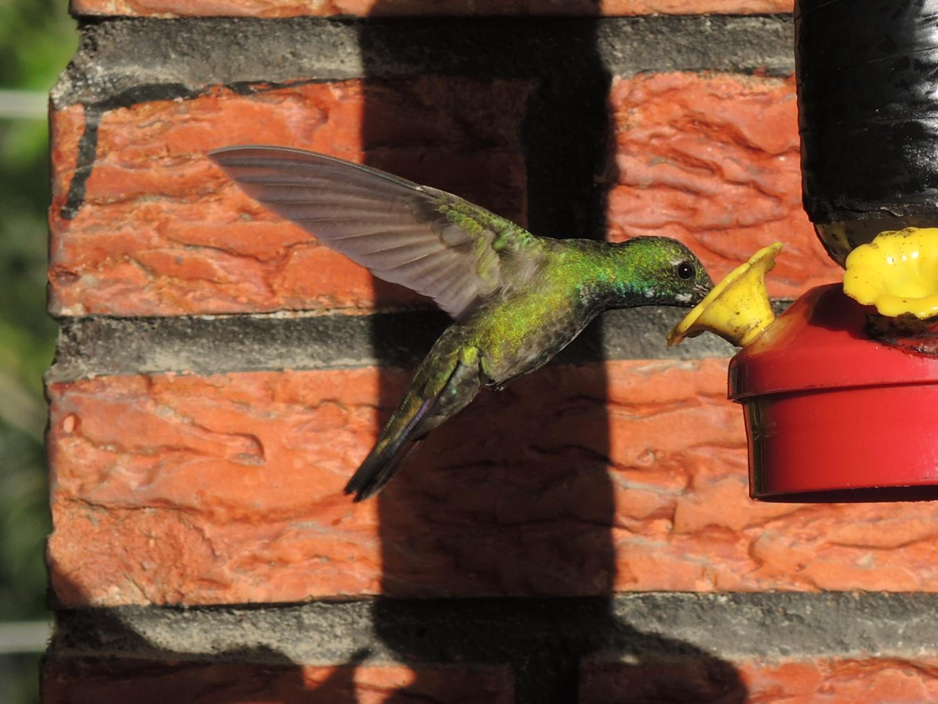 Casa Colibrí