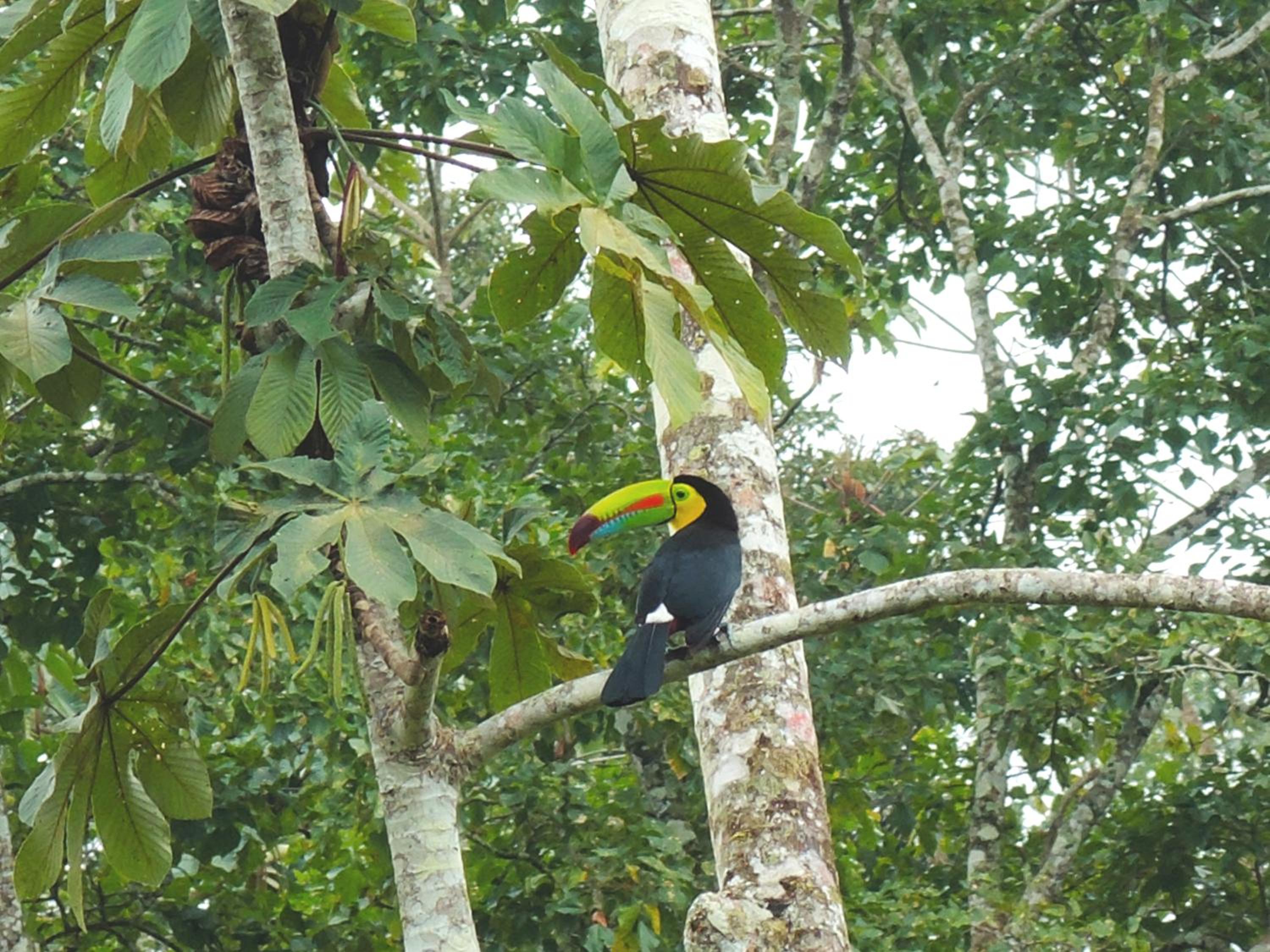 Casa Colibrí