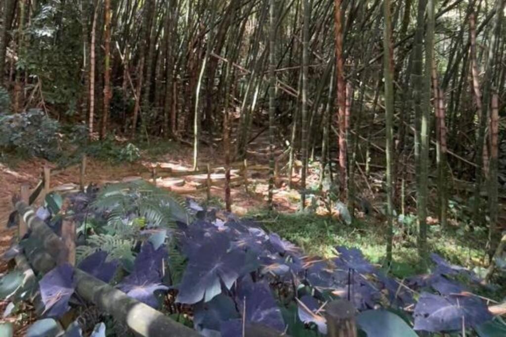 Apartamento en Sabaneta