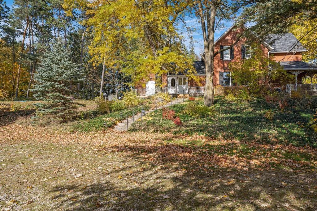 Hidden Oasis with Hot Tubs, & Starry Fire Pits