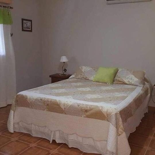 Tempo Bello
