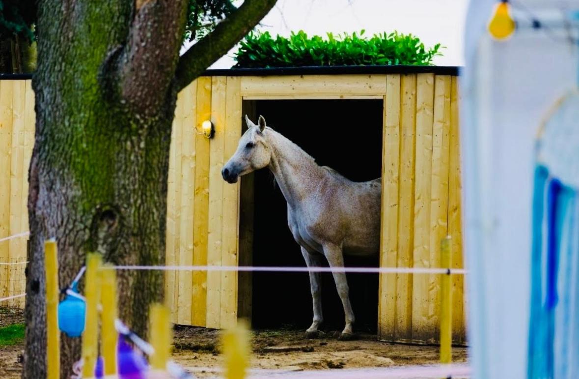 Bed and breakfast aan de grens