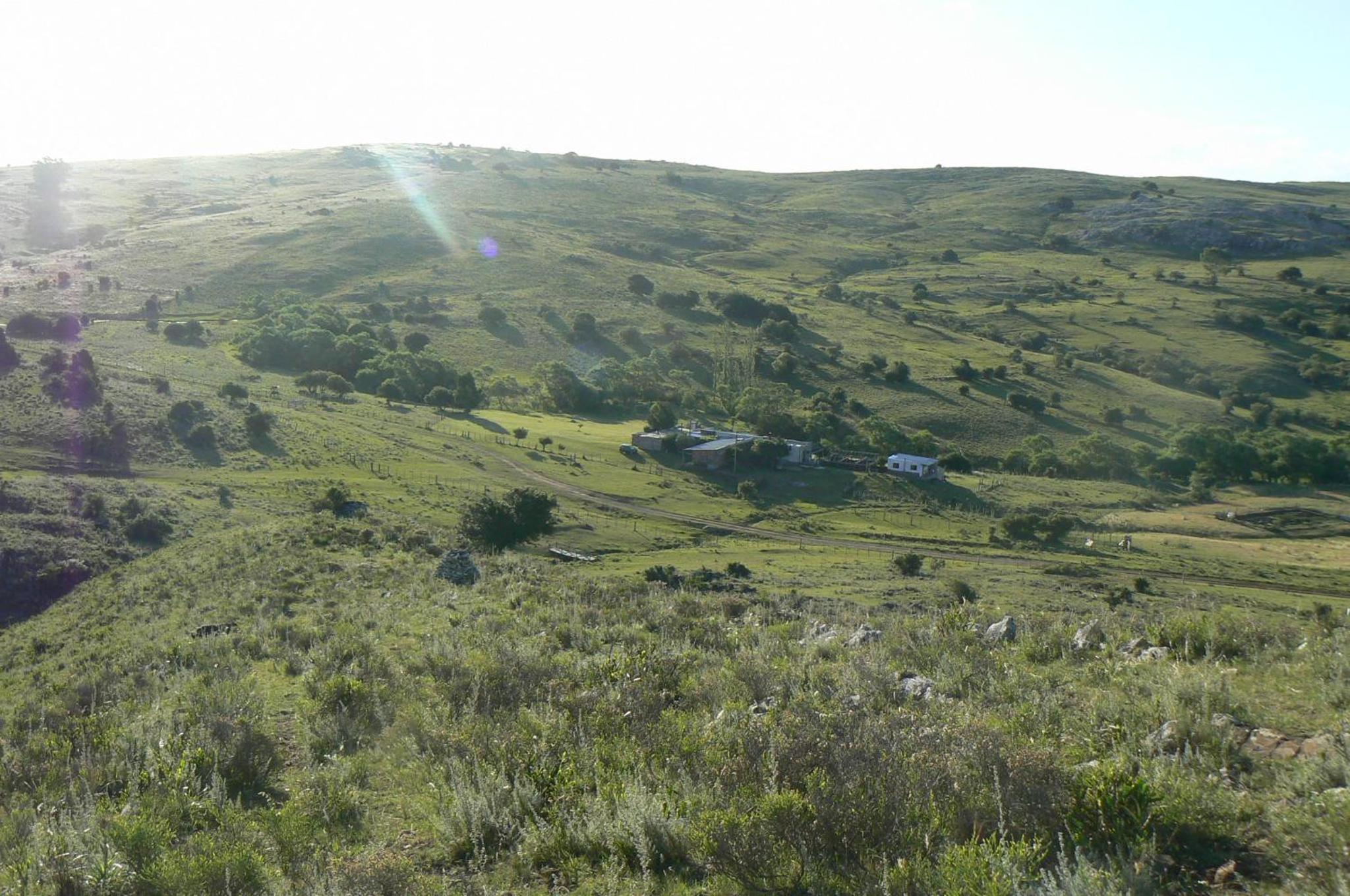 Photo 25