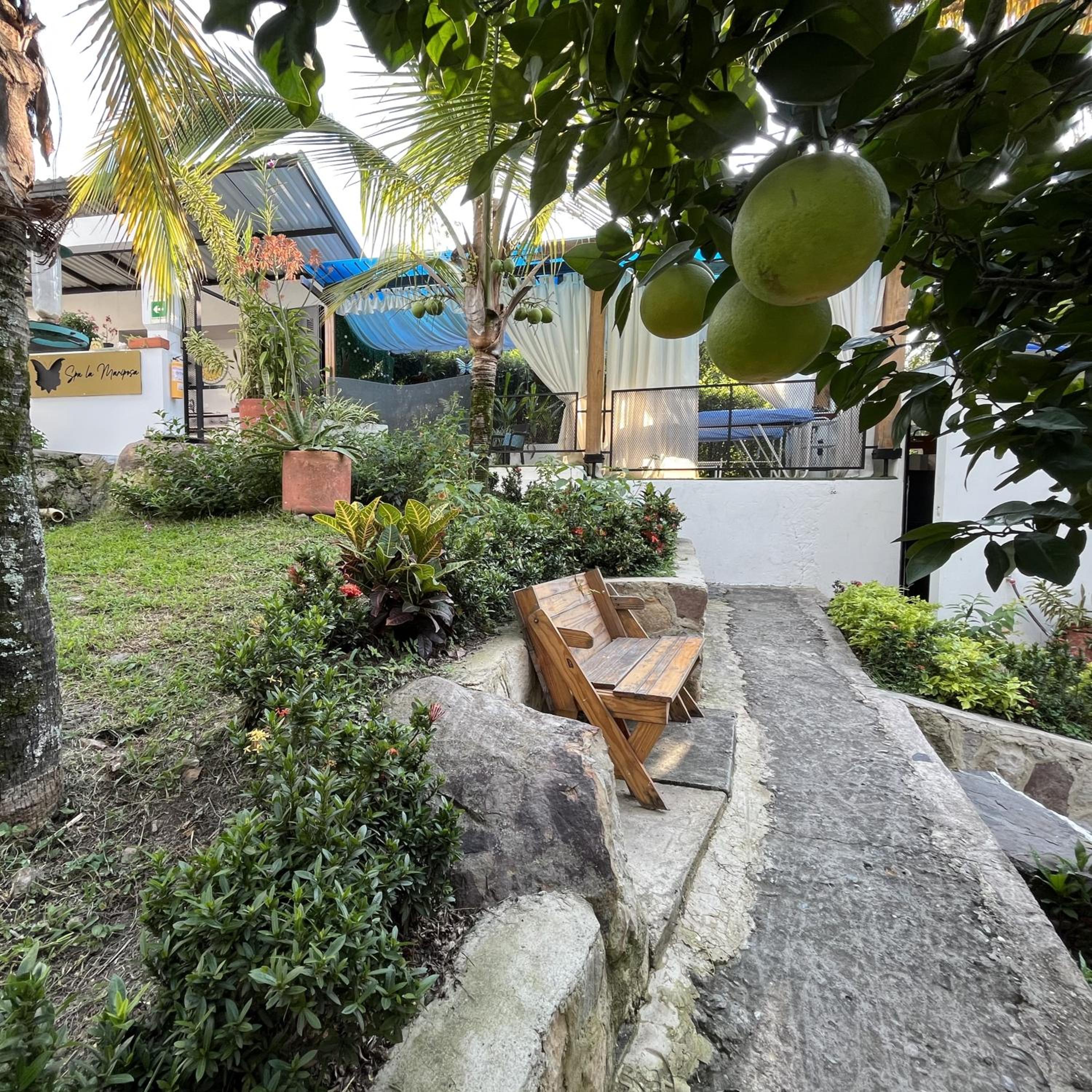 Casa La Mariposa