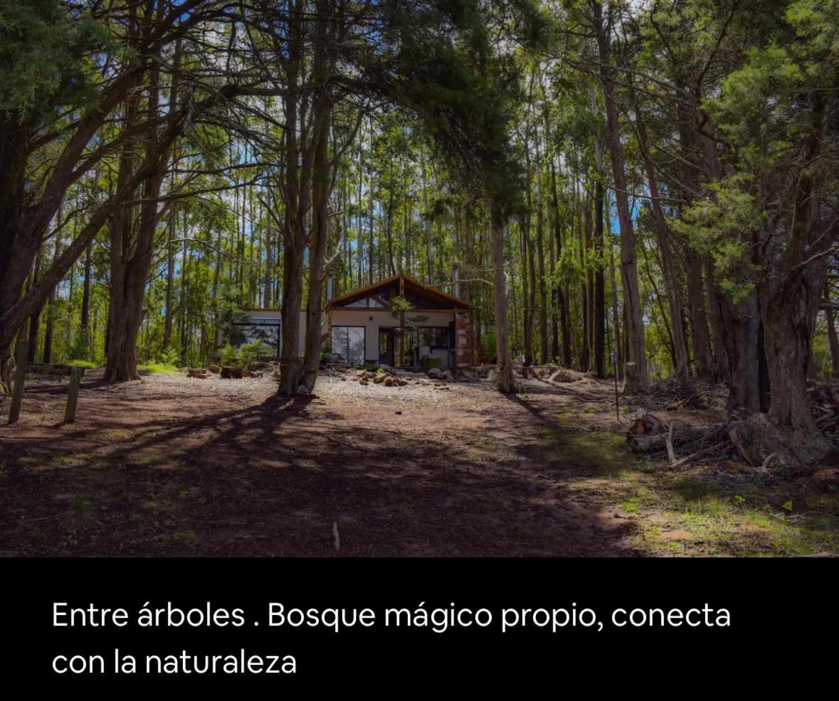 Complejo Bosques