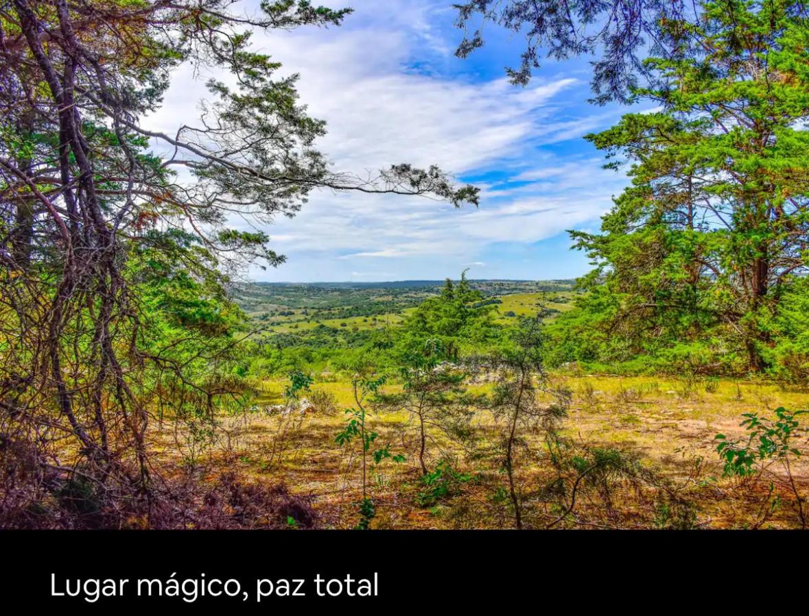 Complejo Bosques